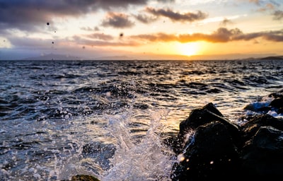 橘色夕阳下有浪海岸浅焦摄影